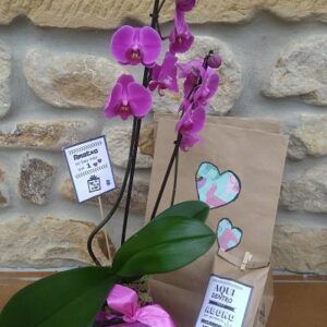 Abono organico ecologico Kit orquidea dia de la madre Ekaia eko compost tienda