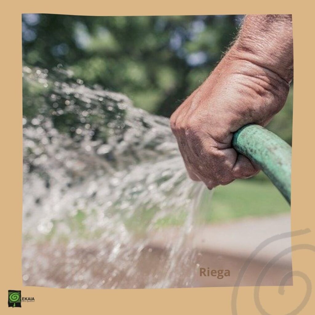 Abono organico ecologico ola de calor verano- Ekaia eko compost 3