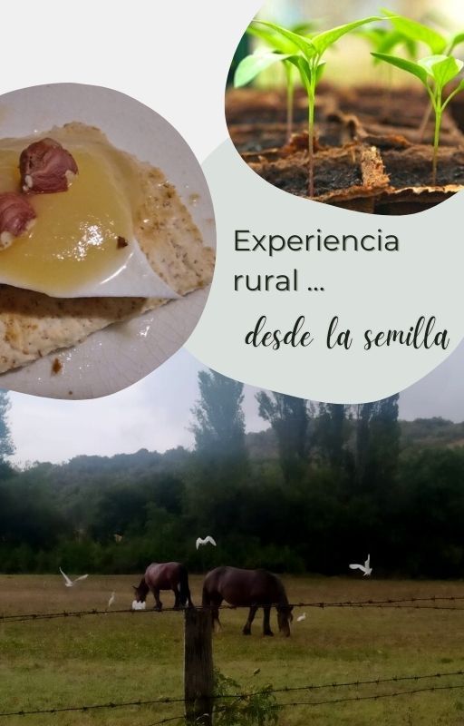 Experiencia-rural-desde-la-semilla-Ekaia-Eko-compost-iraetura