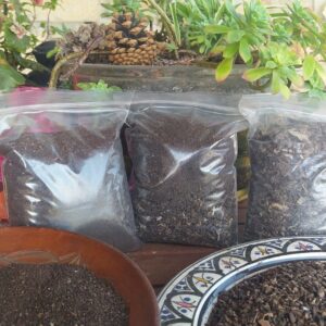 Pack SOS salva tus plantas de la ola de calor en verano