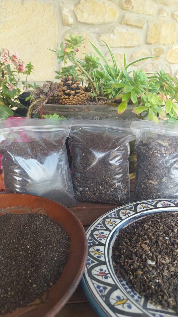 Pack SOS salva tus plantas de la ola de calor en verano
