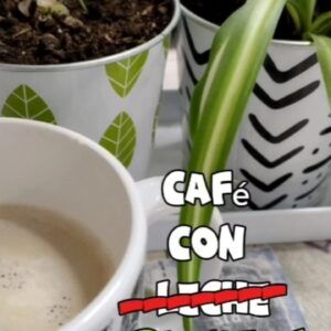 Abono-organico-TAller-plantas-Cafe-con-plantas-Ekaia-eko-compost.jpeg