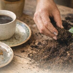 Taller Café con plantas y compost